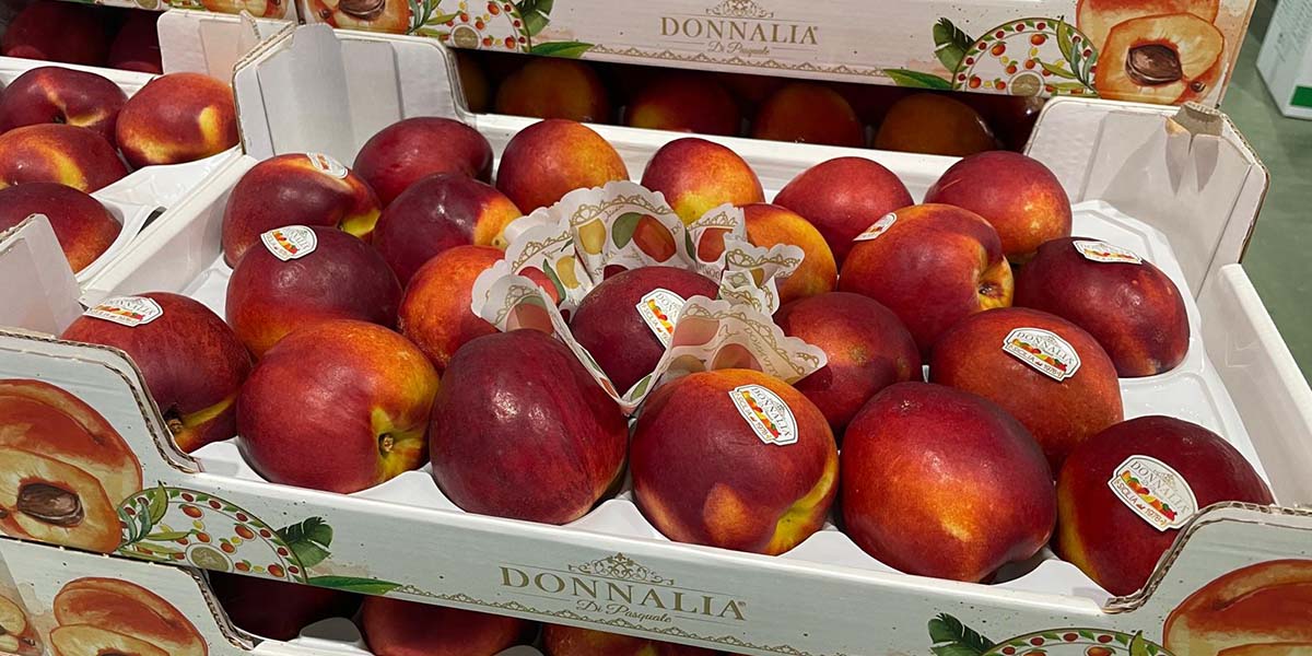 Pesche e nettarine siciliane, un’ascesa dettata dalla qualità